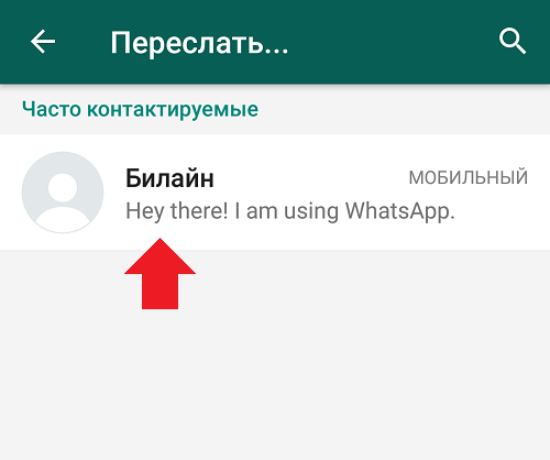 Пересылка сообщений whatsapp. Переслать. Как удалить в ватсап часто контактируемые. Как удалить в ватсапе часто контактируемые контакты.