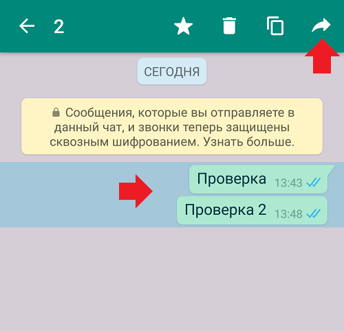 Как из ватсапа переслать в телеграмм. Как переслать сообщение в ватсапе. Пересылаемые сообщения в вотсапе. Пересланное сообщение в ватсап. СТО сообщений в ватсапе.